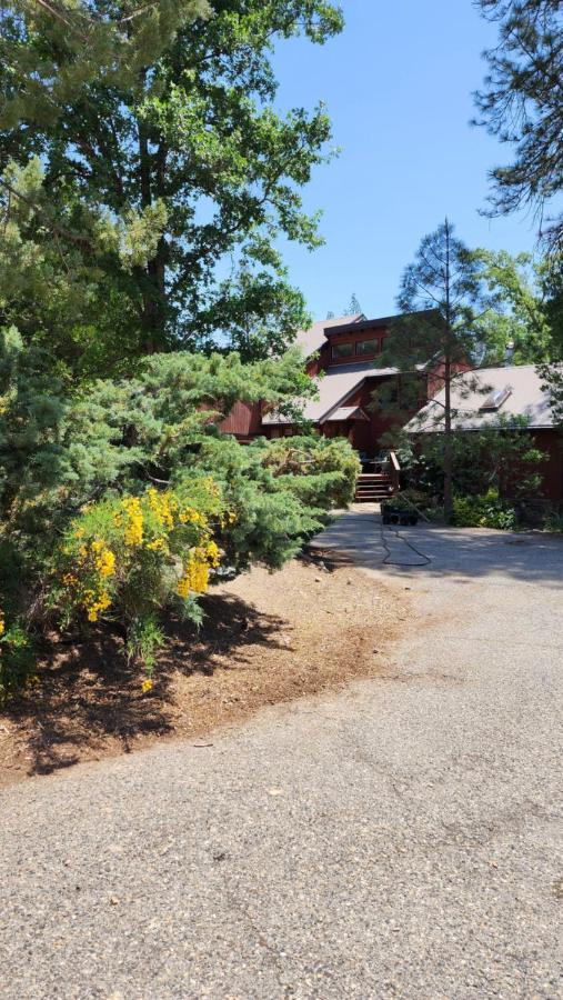 Вилла Yosemite Mountain Retreat Окхерст Экстерьер фото